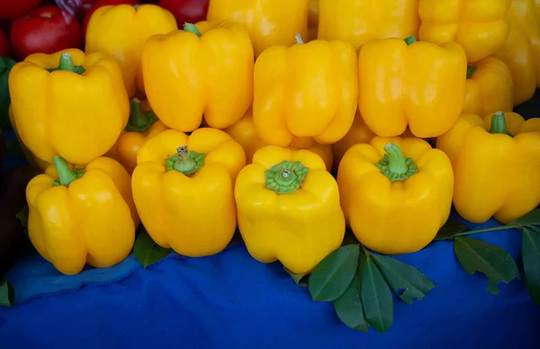 A Lot of yellow Peppers found as food background