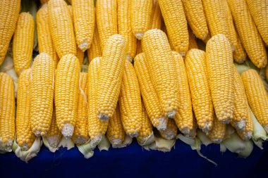 Yiyecek olarak bir sürü taze soyulmuş mısır var.