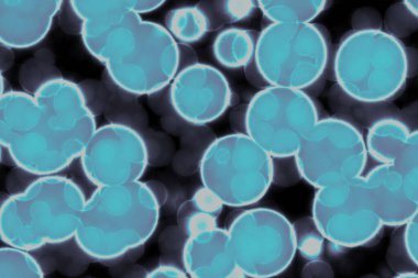 Bakteri hücresinin şekli: cocci, bacilli, spirilla bakteri arka planı