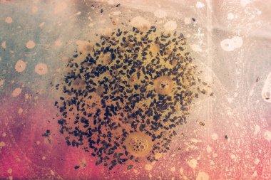 Su tabanında hava ve yağ kabarcıkları şekilleniyor