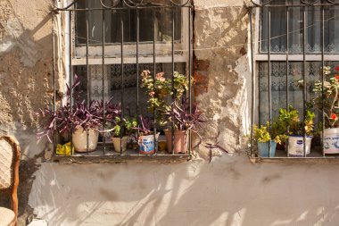 Pencerelerin etrafında inanılmaz renkli çiçekler var..