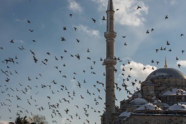 Cami minarelerinin etrafında uçan güvercinler.