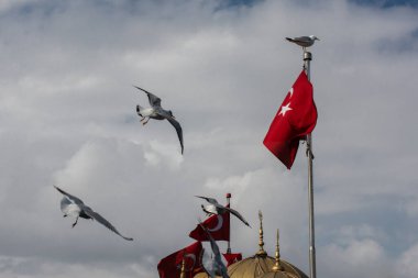 Gökyüzünde beyaz yıldız ve ay bulunan Türk ulusal bayrağı