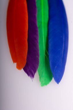 Renkli kuş tüylerinin doku arkaplanı olarak stüdyo fotoğrafı