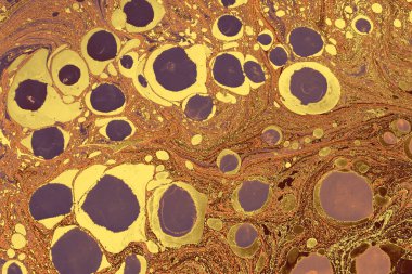 Canlı renklerin yoğun renkli bir karışımı. Soyut modern arkaplan şablonları tasarımı