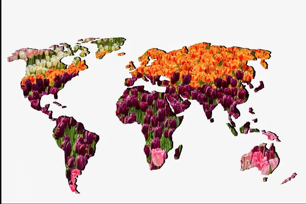 Aproximadamente Bosquejado Mapa Del Mundo Como Conceptos Negocios Globales —  Fotos de Stock