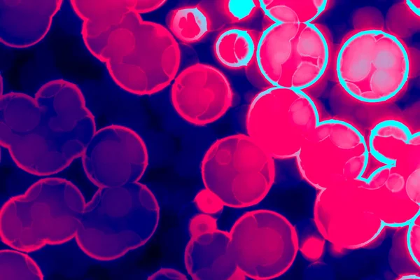 Σχήμα Βακτηριακού Κυττάρου Κόκκοι Bacilli Spirilla Βακτήρια Υποβάθρου — Φωτογραφία Αρχείου