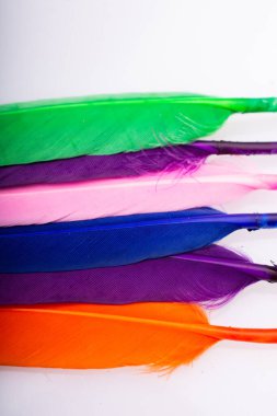 Renkli kuş tüylerinin doku arkaplanı olarak stüdyo fotoğrafı