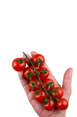 Beyaz arka planda taze organik domatesler. Olgun kırmızı domates.