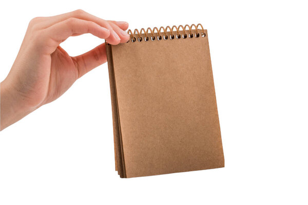 Note book spreadsheet pages. Opened blank note book isolated on white.