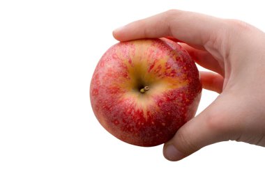 . Elma hasatı Sonbahar konsepti. Taze elma.