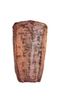 Doner Kebap ve Türk sokak yemekleri için dikey şiş et.