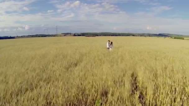 Romantikus pár és a na Búzamező. — Stock videók