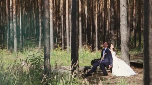 Una pareja joven. Suave, tierno, suave. Pareja enamorada . — Vídeos de Stock