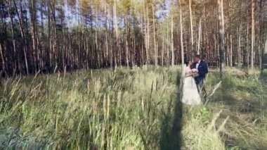 Genç bir çift. Nazik, ihale, yumuşak. Aşık Çift.