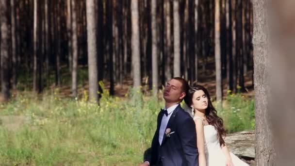 Una pareja joven. Suave, tierno, suave. Pareja enamorada . — Vídeos de Stock