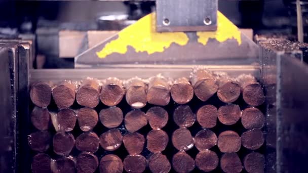 Metallschneiden. automatisierte Industriemaschine. — Stockvideo
