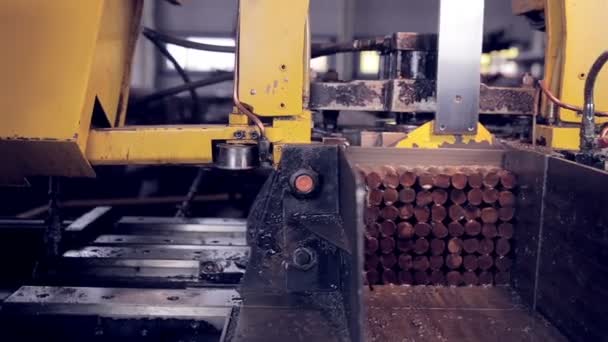 Corte de metais. Máquina industrial automatizada . — Vídeo de Stock