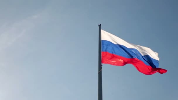 Russian national flag. — Stock Video