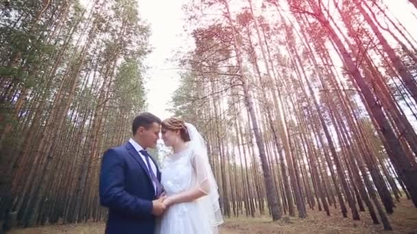 Jeune couple amoureux Toucher doucement, s'embrasser sous les arbres énormes . — Video