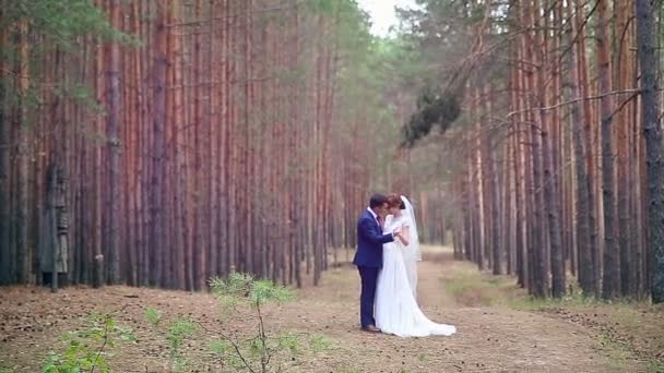 Giovane coppia innamorata delicatamente toccare, baciarsi sotto gli alberi enormi . — Video Stock