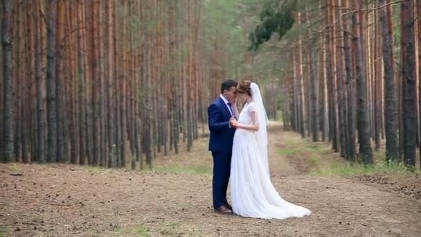 Fiatal pár szerelmes finoman érint, megcsókolják egymást a hatalmas fák alatt. — Stock videók