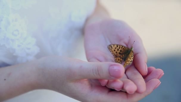 Kvinna händer som håller fjäril utomhus. — Stockvideo