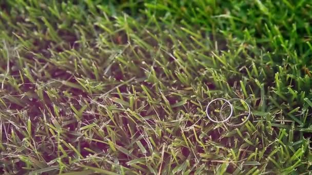 Anéis de casamento na grama . — Vídeo de Stock