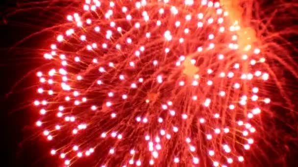 Pantalla de fuegos artificiales de colores reales . — Vídeos de Stock