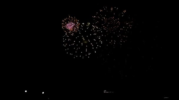 Real colourful Fireworks display. — Stock Video