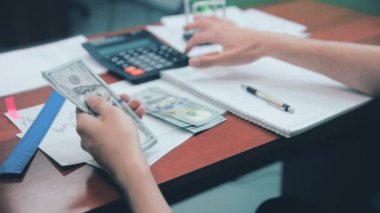 Dolar sayma ve mali sonuçları kontrol işadamı.