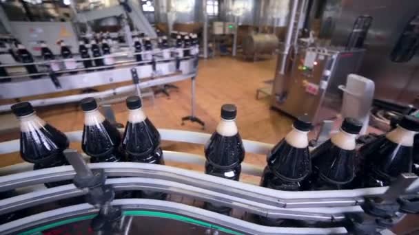 Transportador para la producción de bebidas frescas carbonatadas . — Vídeos de Stock