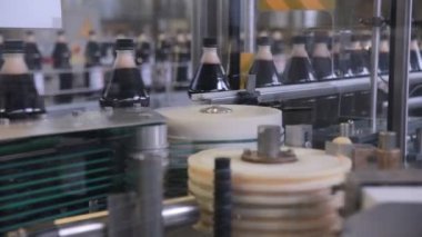 Konveyör taze gazlı içecek üretimi için.