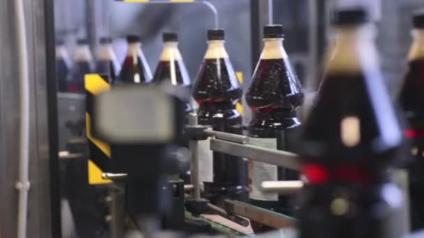 Conveyor for the production of carbonated pop a nd soda fresh drink. — Stock Video