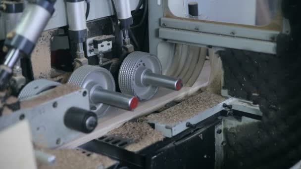 Woodworking mechanism. Circular sawing machine. — Stock Video