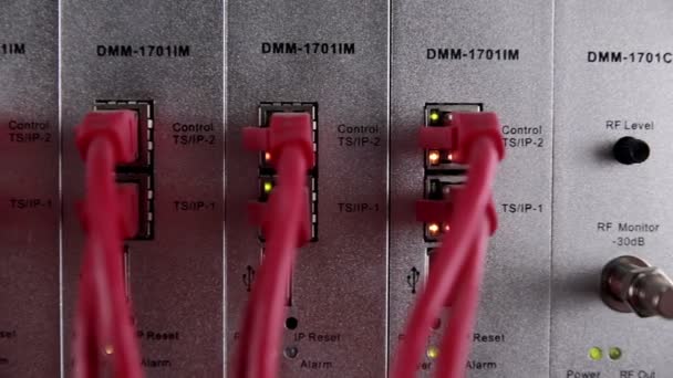 Interruptor de red moderno con cables. Conexiones del servidor . — Vídeo de stock