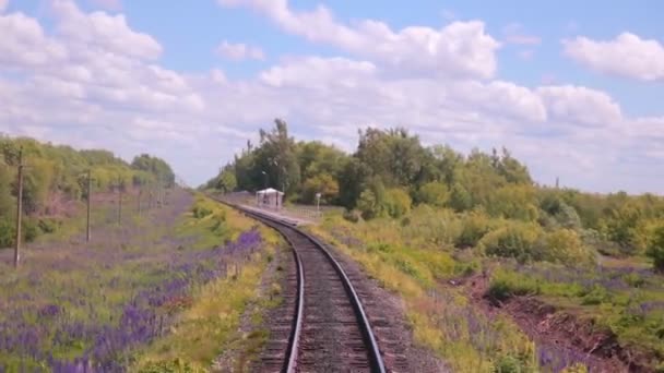 Pohyblivé železniční tratě. Vlak, procházející krajinou. — Stock video