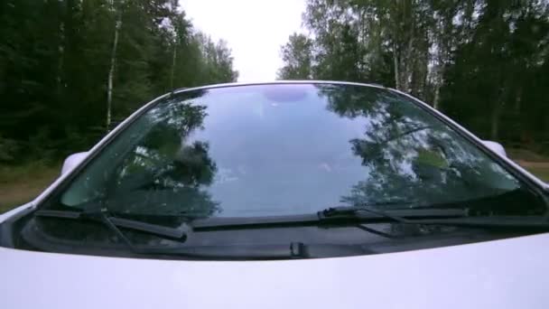 Alberi riflessi nel finestrino dell'auto. Riflesso del parabrezza. Auto guida su una strada di campagna . — Video Stock