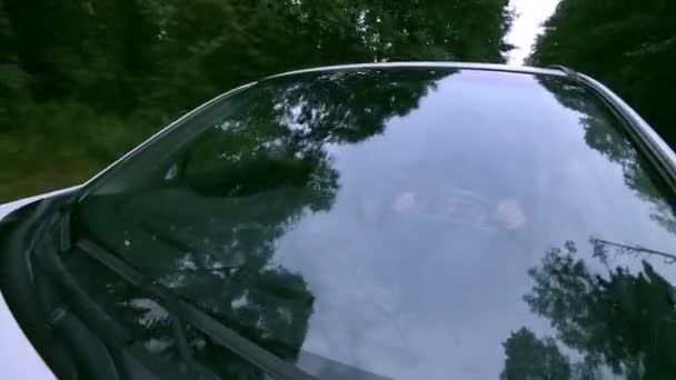 Ağaçlar araba penceresinde yansıtıyordu. Ön cam yansıması. Bir ülke yolda araba araba. — Stok video