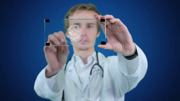 Mannelijke wetenschapper analyseren van x-ray, tomogram op een futuristische tablet. Resolutie afbeelding. — Stockvideo