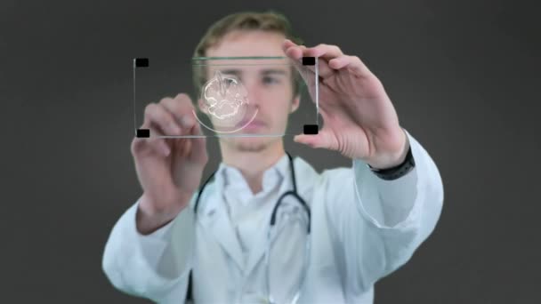 Cientista profissional, médico usando tecnologia touchscreen futurista, mostrando raio-x. Gráfico de movimento . — Vídeo de Stock