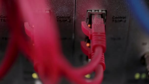 Close-up van kabels en bedrading verbindt servers in een enorm datacenter. Slider schieten. — Stockvideo