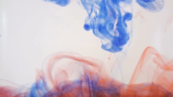 Bright colorful background. Blue and red Liquid ink colors blending in water. — Stock Video