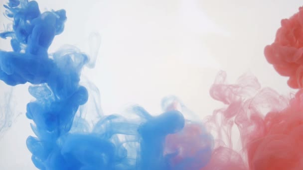 Fond coloré lumineux. Couleurs d'encre liquide bleu et rouge se mélangeant dans l'eau . — Video