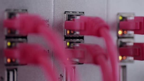 Centrum danych. Nowoczesny sprzęt sieciowy - kable i przewody łączy serwery. — Wideo stockowe