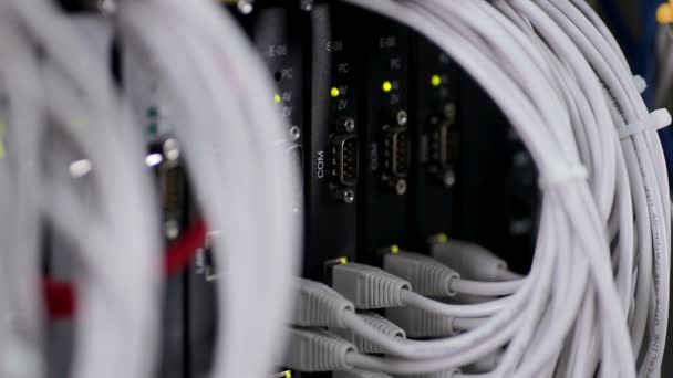 Rechenzentrum. moderne Netzwerkausrüstung - Kabel und Verkabelung verbindet Server. — Stockvideo