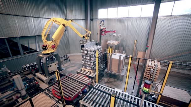 Automated Robotic Arm Loading, packing products. Modern industrial equipment. — Stock Video