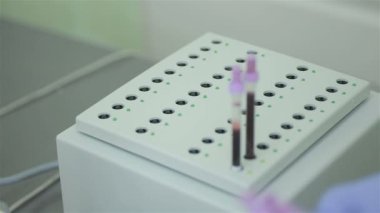 Hemşire bir destek laboratuvar şişeler altında modern bir tüp kan analizi ile koyar.