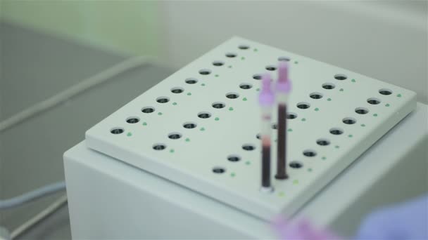 Nurse puts a modern test tube with the blood analysis in a support under laboratory flasks. — Stock Video