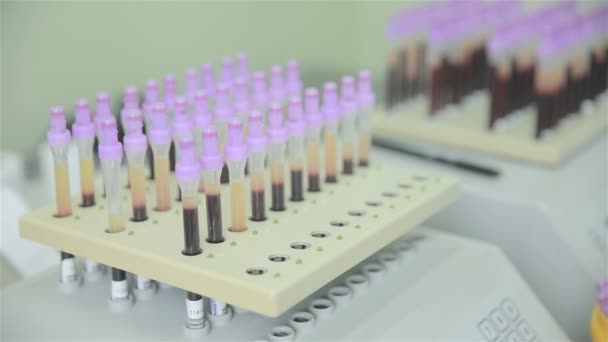 Geautomatiseerde farmaceutisch laboratorium testmachine. Dokter handen neemt reageerbuizen in een lichte moderne lab. — Stockvideo